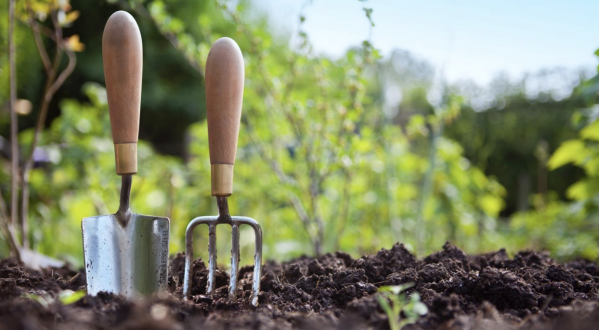 dirt with greenery in background and two tools sticking out of the dirt